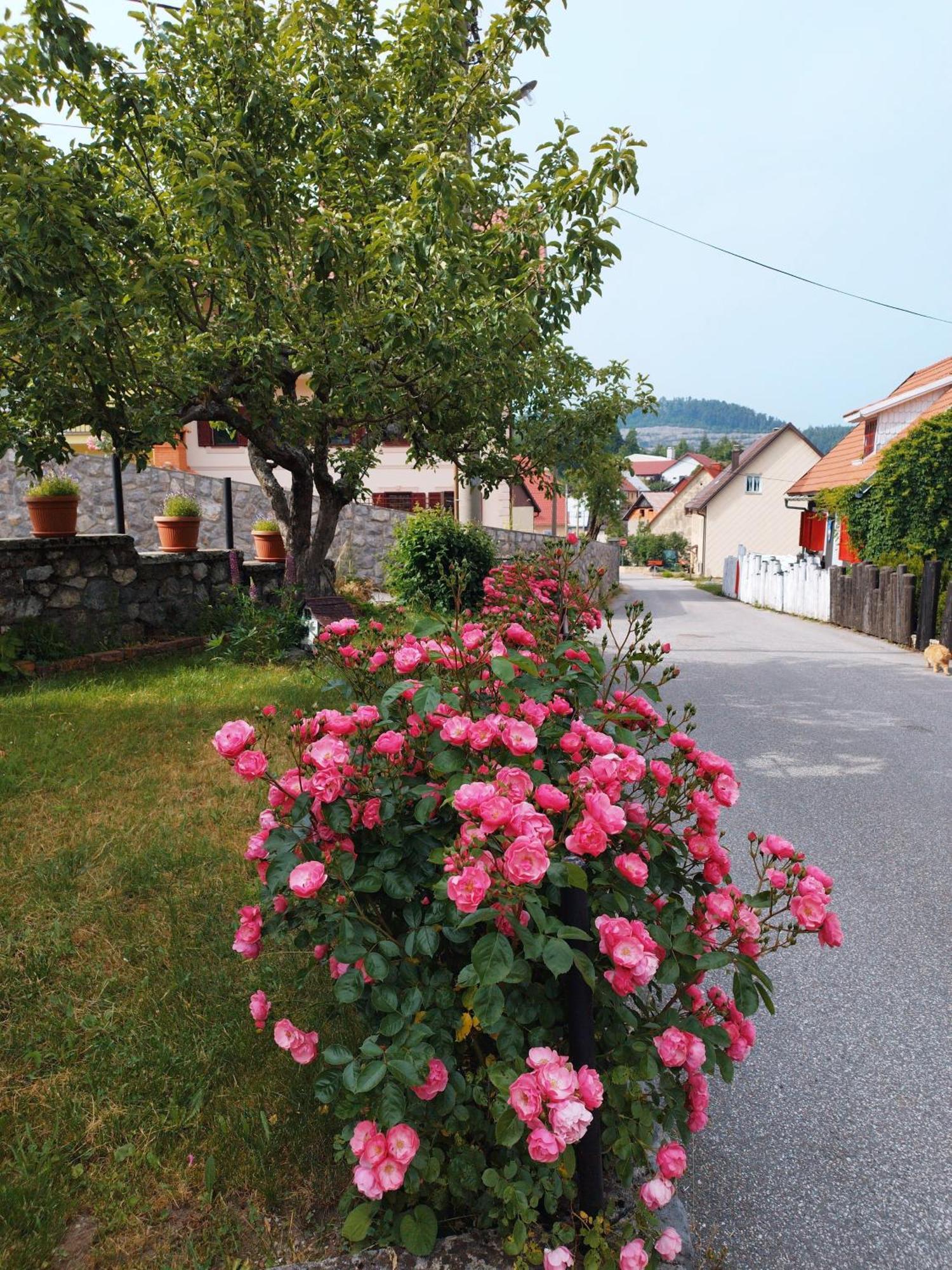 Ferienwohnung "Cattus" Studio Apartman Fužine Exterior foto